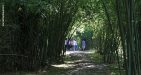 Vietnam-HCM-Trails-8