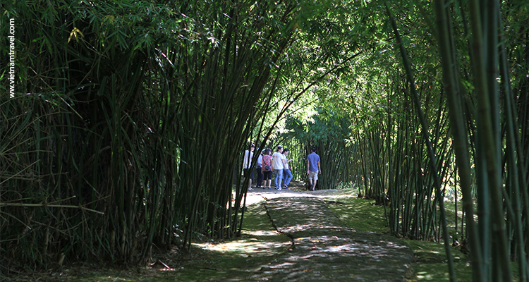 Vietnam-HCM-Trails-8