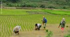 Vietnam-Caobang-1