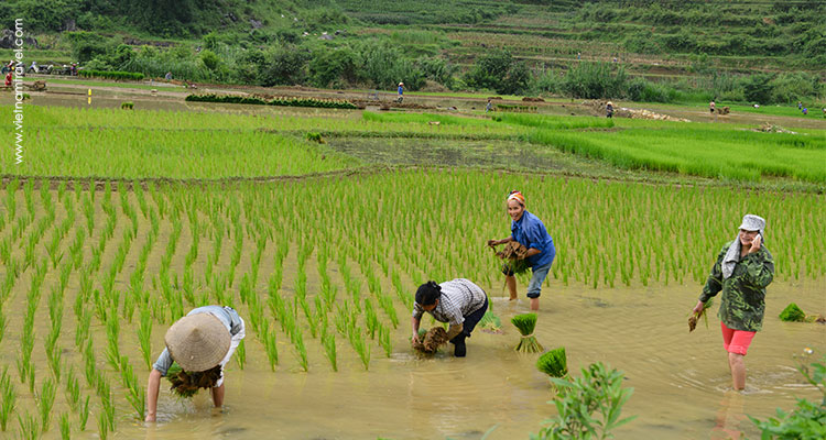 Vietnam-Caobang-1
