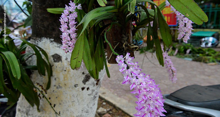 Vietnam-Caobang-8
