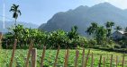 Vietnam-MaiChau8
