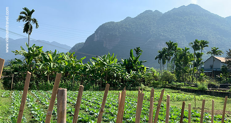 Vietnam-MaiChau8
