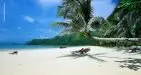 Con-Dao-Island-6