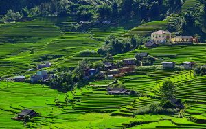 Vietnam Villages - Top Villages in Vietnam You Should NOT Miss