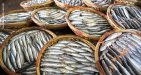 VietNam-QuyNhon-QuyNhonCityTour-5