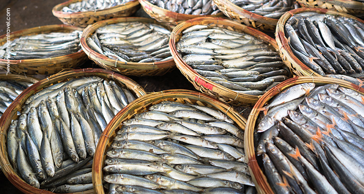 VietNam-QuyNhon-QuyNhonCityTour-5