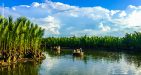 Vietnam-Hoian-1