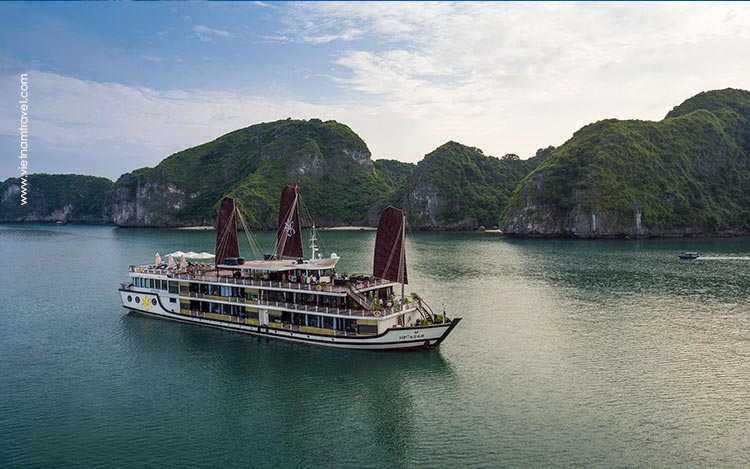 Orchid-Cruise-9