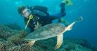 Nha-Trang-Snorkeling-Tour-2
