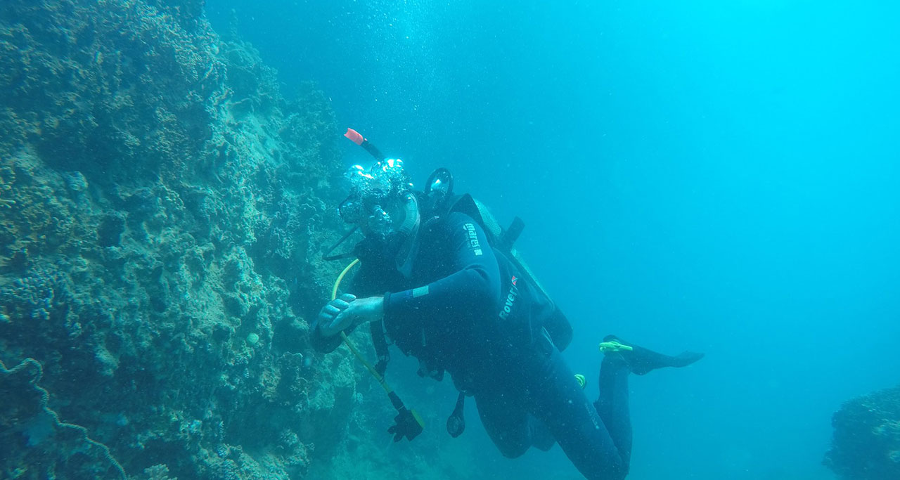 Nha-Trang-Snorkeling-Tour-6