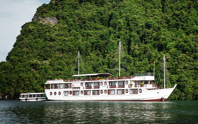 Calypso Cruise