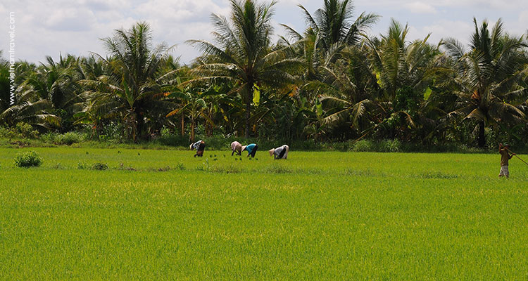 Vietnam-BenTre-2