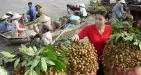 discover-cai-be-floating-market-and-tan-phong-island-from-ho-chi-minh-in-ho-chi-minh-city-301812