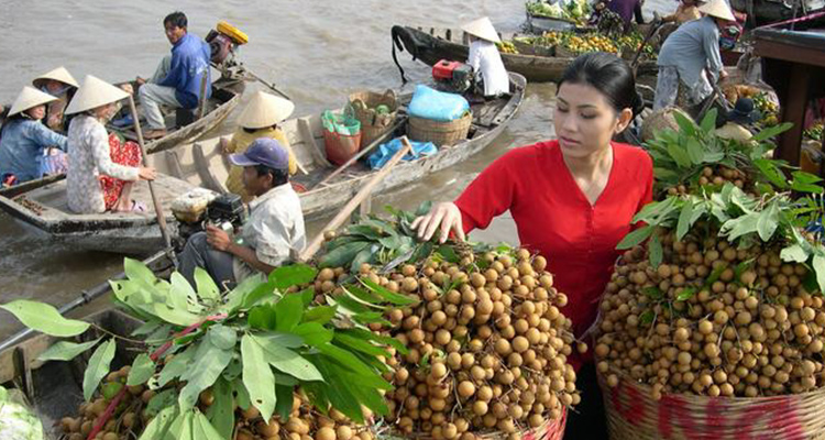 discover-cai-be-floating-market-and-tan-phong-island-from-ho-chi-minh-in-ho-chi-minh-city-301812
