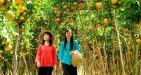 my-tho-and-ben-tre-day-trip-from-ho-chi-minh-city-in-ho-chi-minh-city-343501