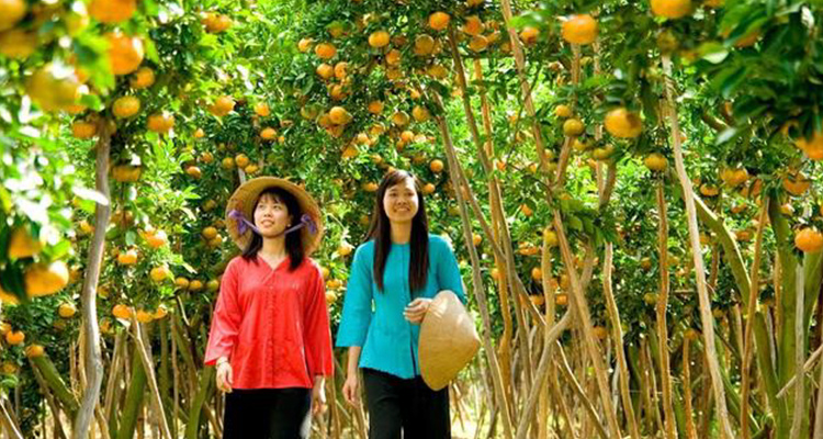 my-tho-and-ben-tre-day-trip-from-ho-chi-minh-city-in-ho-chi-minh-city-343501