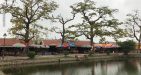 thai-binh-1