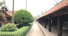 thai-binh-6