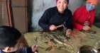 thai-binh-9
