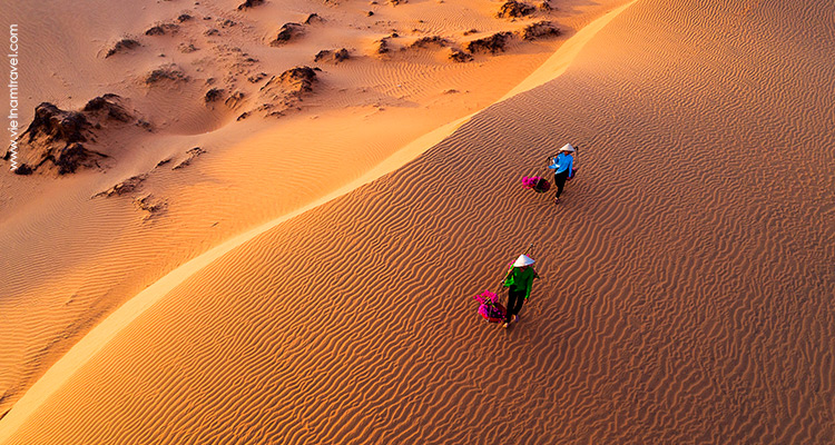 beautiful sand dunes in Binh Thuan