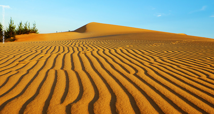 red sand dune