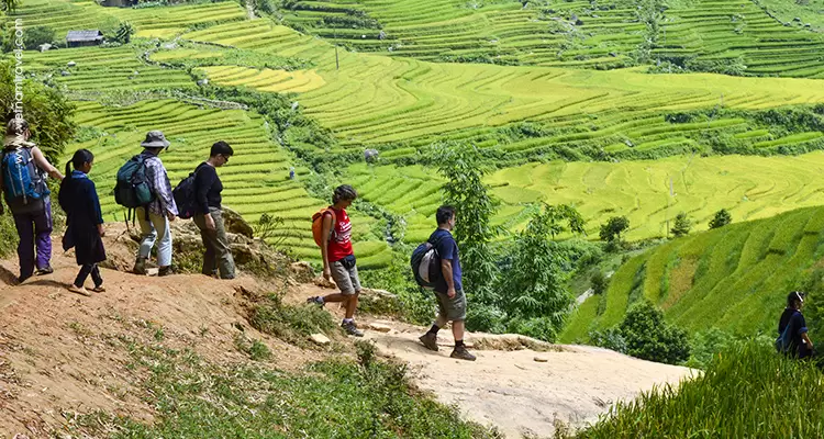 Trekking in Sapa