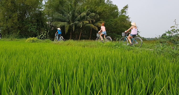 Biking in Hoian countryside