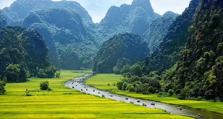 ngo dong river, ninh binh