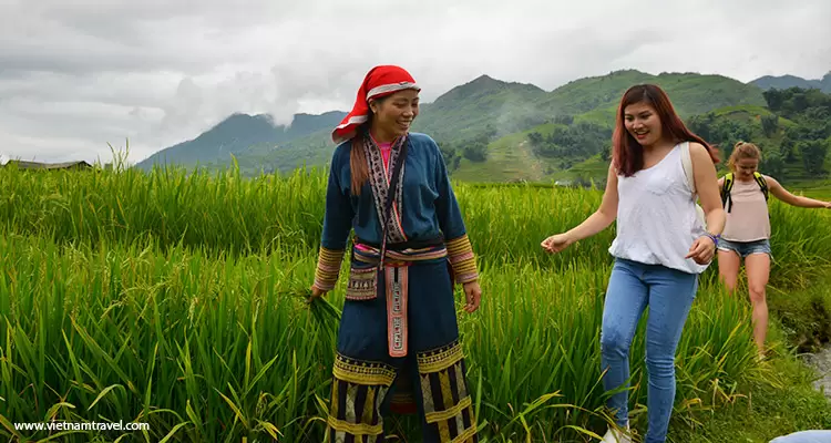 Sapa in green season