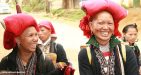 Sapa-phillippines4
