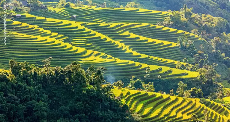 Vietnam-Ha-giang-Hoang-Su-Phi-1
