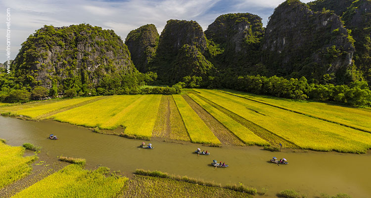 Top 10 Rice Fields in Vietnam for Photographers