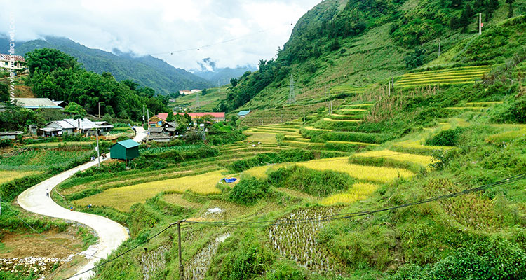 Sin Chai Village