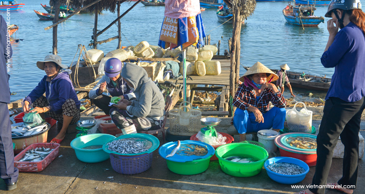 Hoi An Eco tours