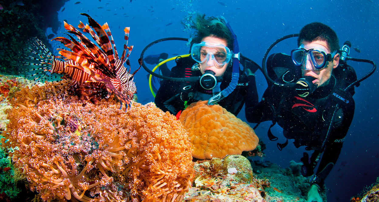 Snorkeling and Diving in Phu Quoc Island