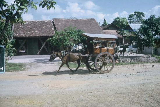 Carriages in Cu Chi