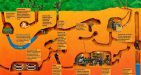 Cu-Chi-Chuchi-Tunnels4