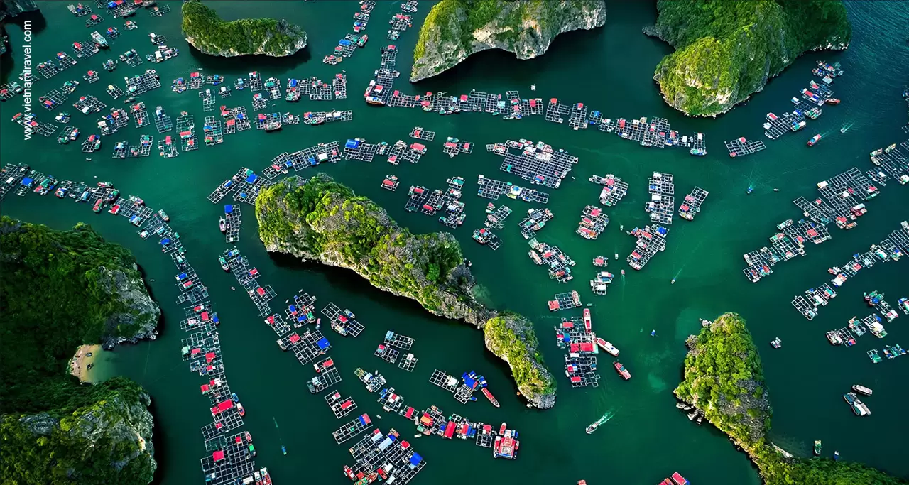 Cua Van Village, halong vietnam