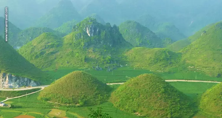 green scenery of Quan Ba