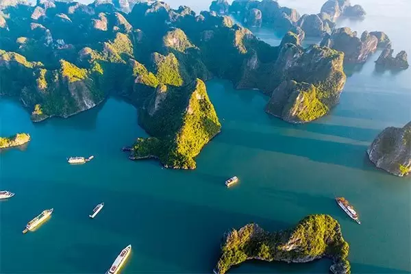 Panoramic view of Ha Long Bay from above with luxury ships, limestone cliffs, and clear blue sea