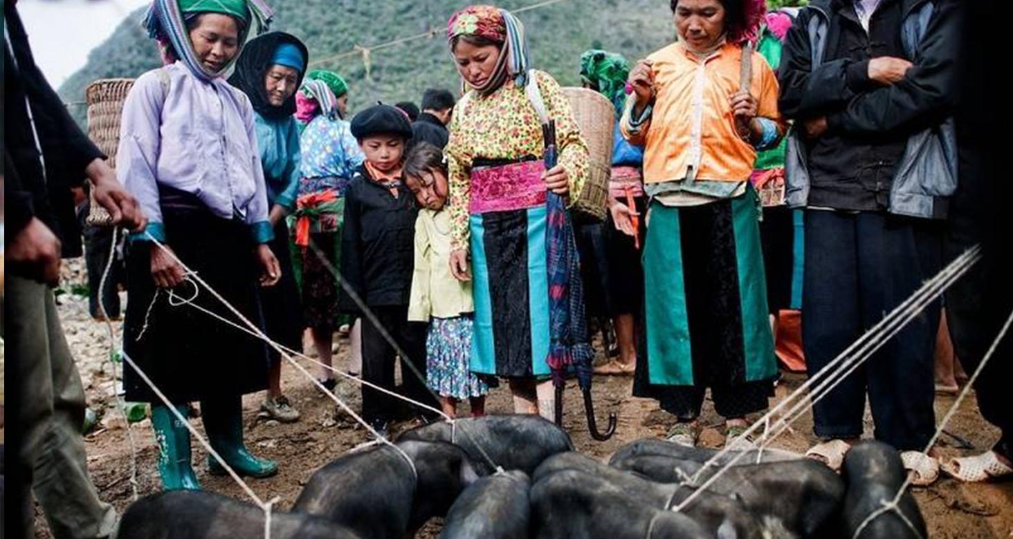 Hill Tribe Markets in Quan Ba, Ha Giang