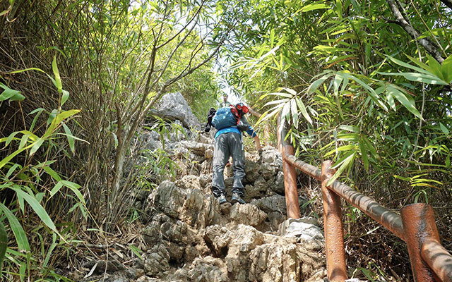 national parks in Vietnam thumbnail