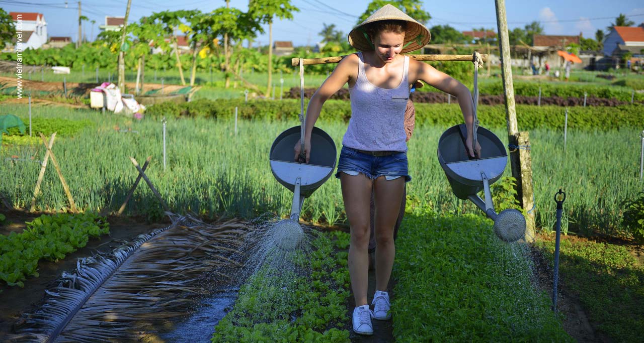 Tra Que Vegetable Farm Village