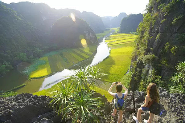 Top 10 Rice Fields in Vietnam for Photographers