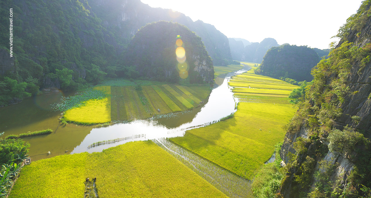 Panorama view of rice fields and limestone rocks in Tam Coc, Ninh Binh.