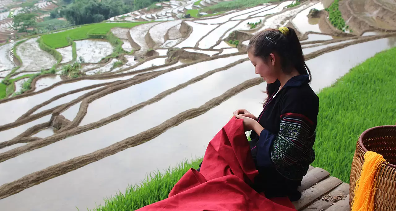 A Hmong girl on rice terrace in Sapa Vietnam