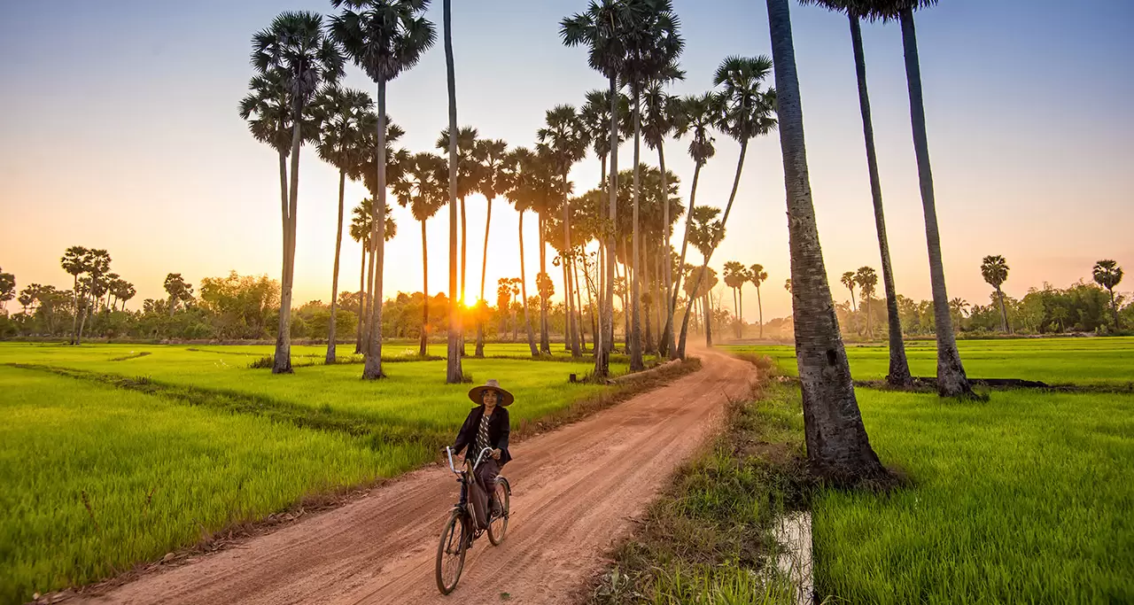 Top 10 Rice Fields in Vietnam for Photographers