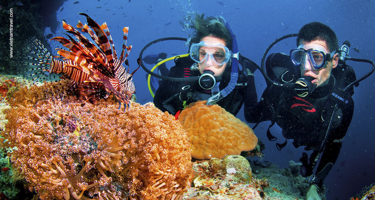 snorkeling in Phu Quoc