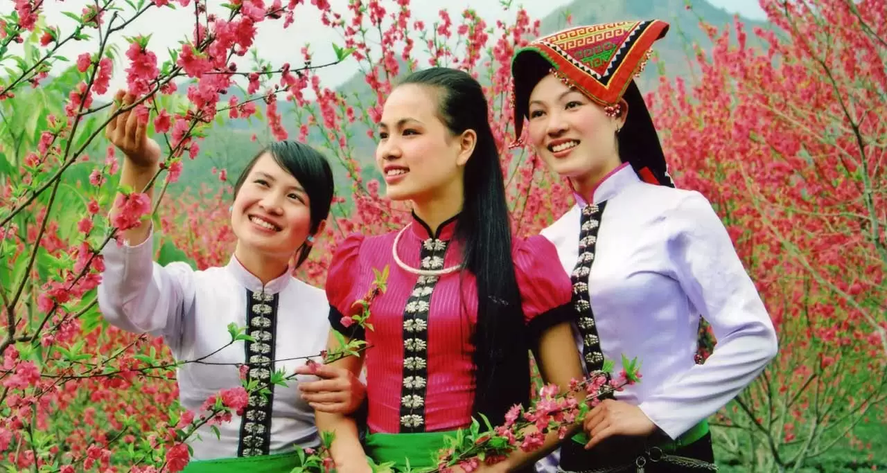 Traditional Top Grade Asian Vietnamese Costumes, Vietnam National